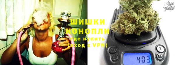 дмт Гусь-Хрустальный