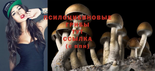 дмт Гусь-Хрустальный