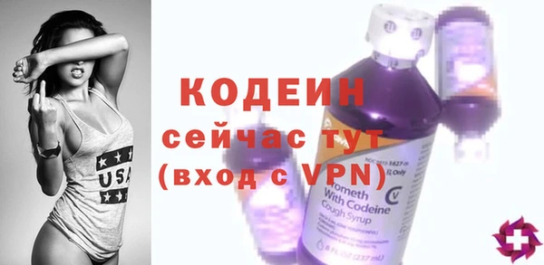 дмт Гусь-Хрустальный