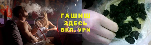 молекула духа Гусев