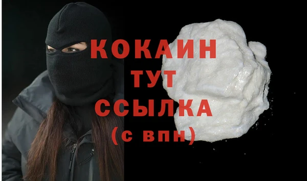 мяу мяу мука Гусиноозёрск
