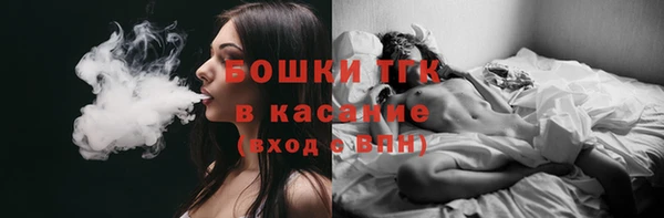 дмт Гусь-Хрустальный