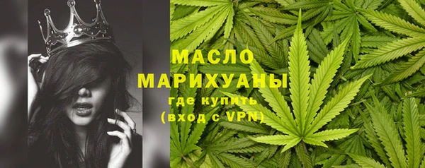 дмт Гусь-Хрустальный