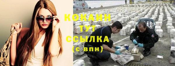 молекула духа Гусев