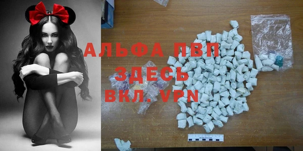 молекула духа Гусев