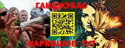 индика Пенза