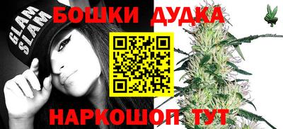 индика Пенза