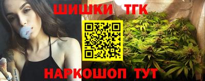 индика Пенза