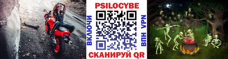 закладка Карабулак гидра как зайти Галлюциногенные грибы мицелий