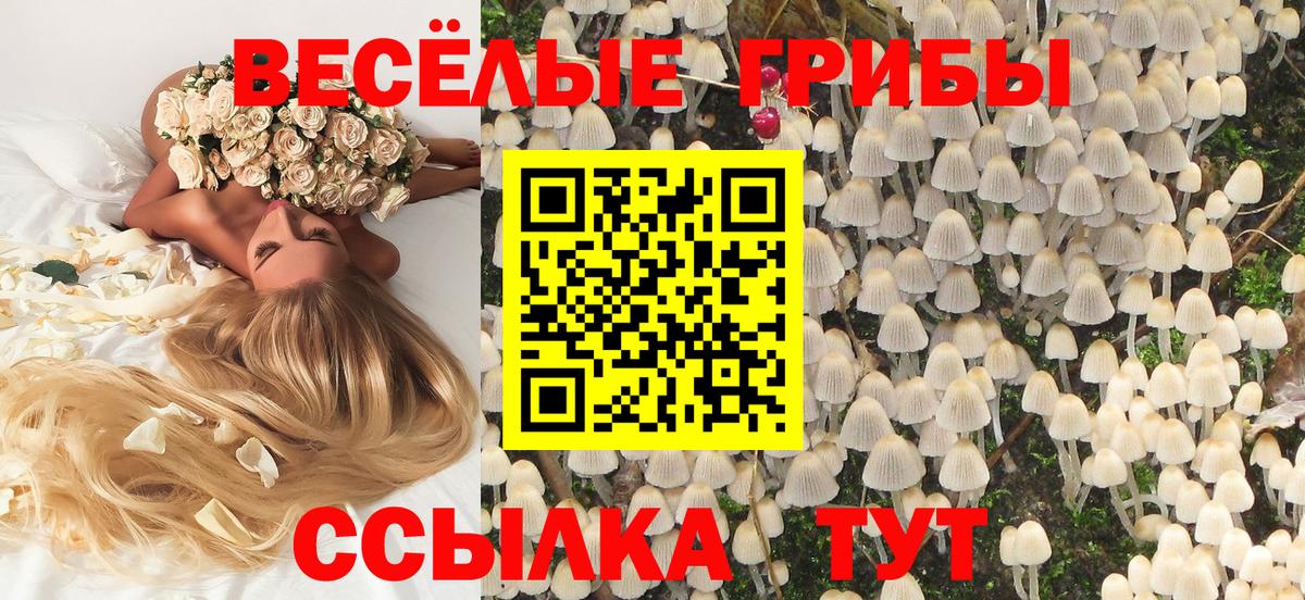 Псилоцибиновые грибы MAGIC MUSHROOMS Карабулак