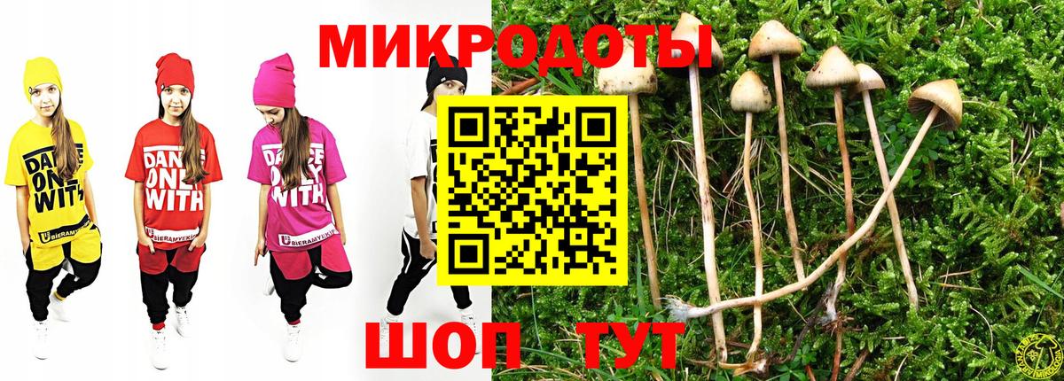 Псилоцибиновые грибы MAGIC MUSHROOMS  как найти наркотики  Псилоцибиновые грибы мицелий  Карабулак  Вход с VPN 